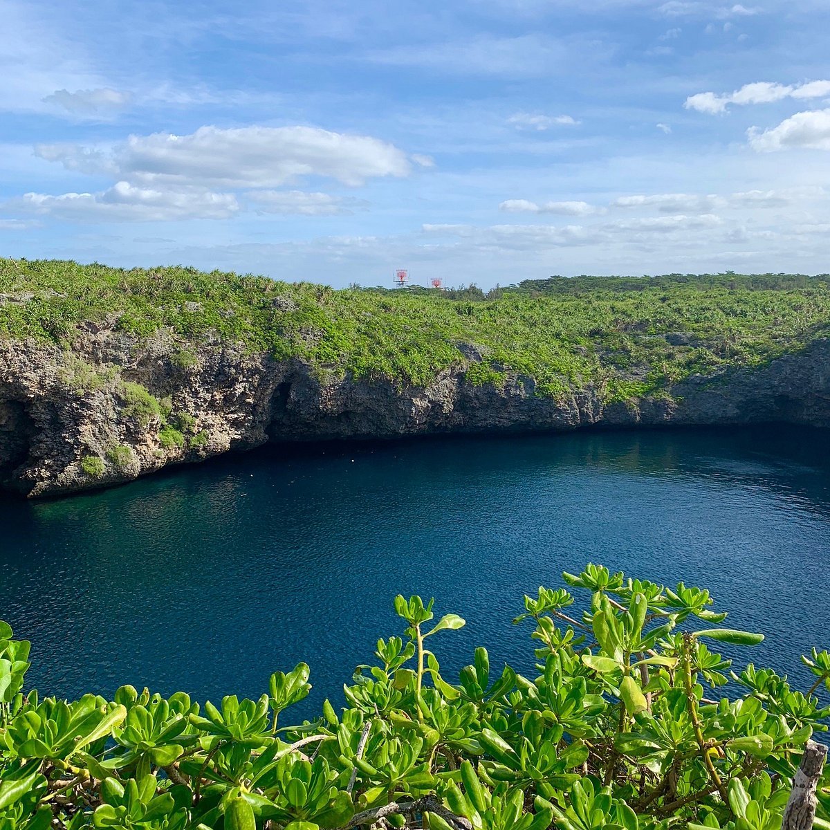 🏞️ 토리이케 연못 (토리이케) 이미지 3
